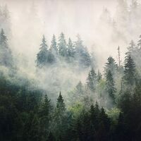 Therapy Physiotherapy Osteopathy Private rooms to rent in Old Street/ Shoreditch EC2A 4BQ - Marketing included - Photo 16